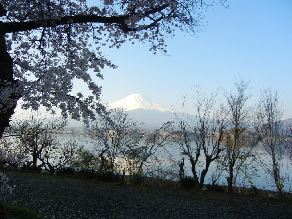ヴィラ メイクイーン 富士河口湖町 エクステリア 写真
